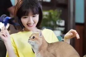 不好意思，看到毛晓彤火起来，我又想到了她那个不要脸的亲爹图片