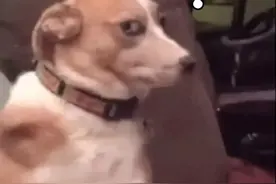 无需抵押，仅凭一张营业执照，就能贷出90万？图片