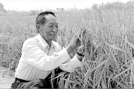 “袁爷爷，一路走好！”群众自发雨中送别袁隆平，家乡人民沉痛悼念！图片