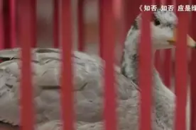 天价“彩礼”压垮爱情？甚至出现“彩礼贷”！这种婚俗到底是怎么来的？图片