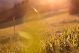 画面中的绿点是怎么来的？怎么解决？－摄影早自习第1730天图片