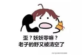 王者荣耀：每个位置玩家“内心崩溃的咆哮”系列之——打野篇。图片