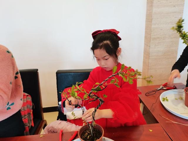 小树苗要调教，盆景大师教我一寸三弯调教小树苗
