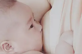 哺乳照-爱的供养图片
