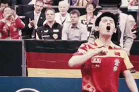 张继科其实最惨了图片