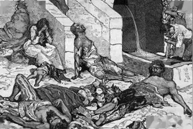 英军不穿裤子，拿破仑因此战败，战场上不讲卫生的后果有多可怕？图片