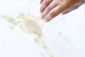 衣服上的顽固污渍洗不掉？教你一招只要这样搓洗下，轻松去除黄渍视频封面