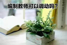 江西：“归雁计划”实施五年，老师回原籍任教为何困难重重？图片