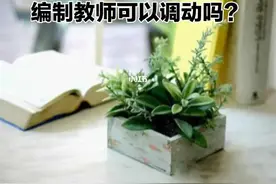 江西：“归雁计划”实施五年，老师回原籍任教为何困难重重？图片