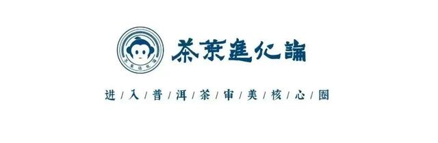 从藏茶客角度：只靠喝，能选出一款有存放潜力的茶吗？（下）