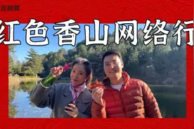 上热搜！红色香山网络行，出圈！图片