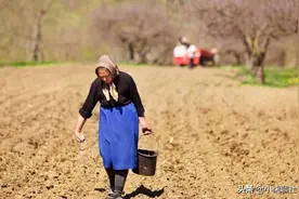 农民曾经缴纳公粮，也可以发放养老金吗？专家给出了解答图片