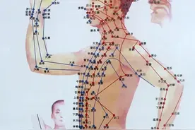 十二经脉——玄之又玄，精气以成也图片