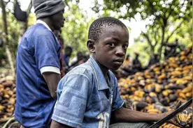 这里的小孩被爸妈用几袋米卖掉，现在却要给主人干活到死图片