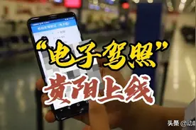 来了！电子驾照图片