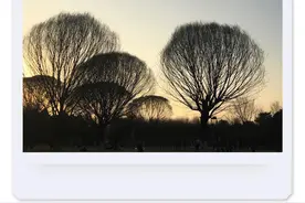 北京秋天去哪玩系列之我所喜欢的奥森图片