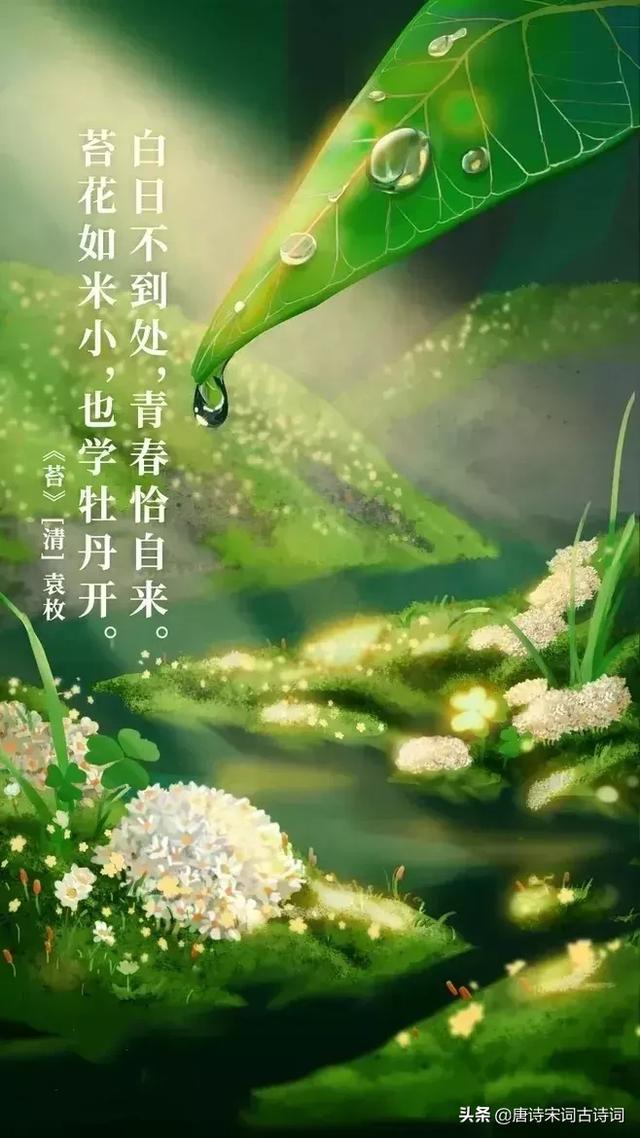 励志诗词：艰难困苦有时尽，人生没有过不去的坎