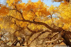 不要再拍游客照了，这6个旅游摄影技巧超简单，帮你旅游照片更美图片