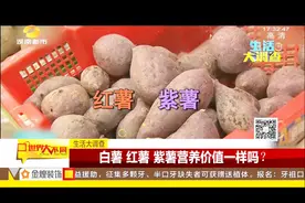 吃烤红薯的季节到了，但市场上甘薯品种较多，营养价值一样吗？视频封面