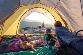 带家用投影去露营行不行？来看看黑科技坚果投影P3s吧图片