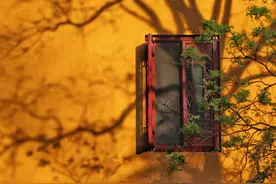 见自己，见他人，见众生图片