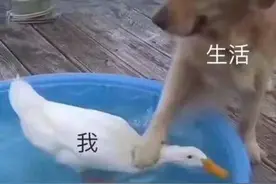 生活其实没那么累，你需要的是正确解压方式图片