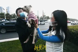 “济南版忠犬八公”寻主人3月，救助人讲述：小狗一直朝车的方向张望图片