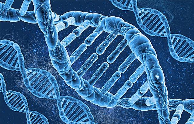 人类基因编辑抵御艾滋事件热点追踪（一）：浅析基因