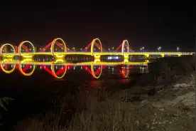 沂蒙山路沂河大桥（五环桥）图片