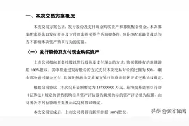 新绎游船要借壳西藏旅游上市 王玉锁资产腾挪为哪般？图片