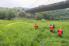 湖口：鄱阳湖畔灭钉螺图片