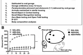 美国加州大学研究发现：青春期前糖吃多了，孩子长大会变“笨”图片