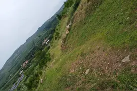 家乡的风景美如画，蘑菇出来采摘到家图片