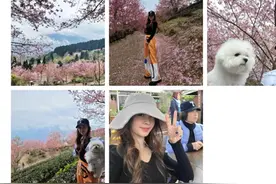 蔡依林晒春游照，与狗狗合影脸有点肿，分手后罕晒男友视角引热议图片