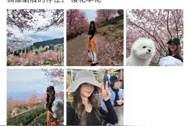 蔡依林晒春游照，与狗狗合影脸有点肿，分手后罕晒男友视角引热议图片