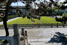 皇帝的“一亩三分地”图片