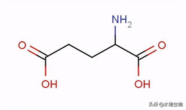 化妆品保湿成分科普之聚谷氨酸「水信生物」