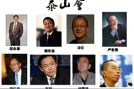 “泰山会”已经不合时宜，解散并不意外图片