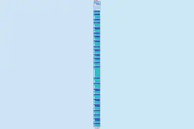 新华社连发5篇长文戳穿美澳谎言，网友赞“谎言与事实真相”系列解气又提气图片