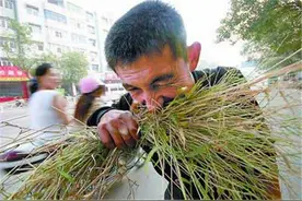 重庆男子，因饥饿吃了几把草，后来停不下来，34年吃了40吨！图片