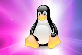 Linux踩坑记：奇怪的知识又增加了图片