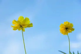 人到中年，越来越好的活法：禁欲图片