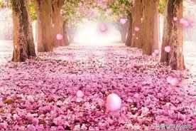 养花的人，心情平和，耐住寂寞，自信把握，事业有果，幸福颇多图片