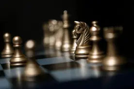 两条狗为何掀起了巨大的舆论风波？图片