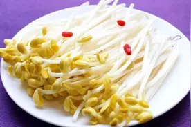 “毒豆芽”不得不防，会致癌和致畸，躲过它只需要三个步骤图片