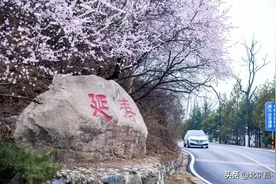昌平花事：十里桃花林，唯美怀长路图片
