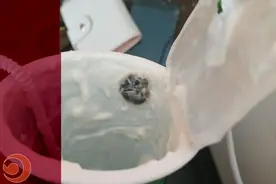 伊利屡被投诉酸奶中吃出异物 消费者服务平台质疑声一片图片