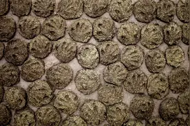 牛粪饼在印度网上卖疯了……图片