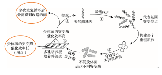 北京市2019年高三一模考试典型题目分析（生物）