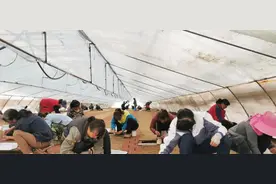 种苗繁育分公司开展2021年蓝莓育苗扦插工作图片